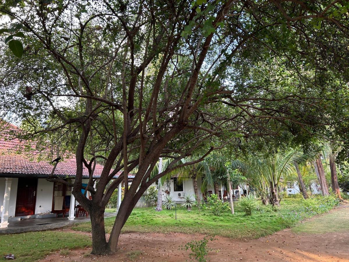 108 Palms Beach Resort Trincomalee Dış mekan fotoğraf